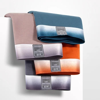 Modálne pánske spodné prádlo priedušná antibakteriálne šortky jednofarebné trenírky 3KS