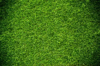 zelená tráva prírodná textúra photo studio pozadí Vinyl tkaniny Vysokej kvality Počítač tlač stenu pozadia